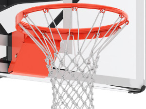 Silverback wall mounted basketball hoop 3D 模型