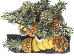 Giant clam shell bowl of pineapples 3D Model