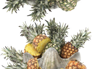 Giant clam shell bowl of pineapples Modello 3D
