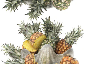 Giant clam shell bowl of pineapples 3D Model