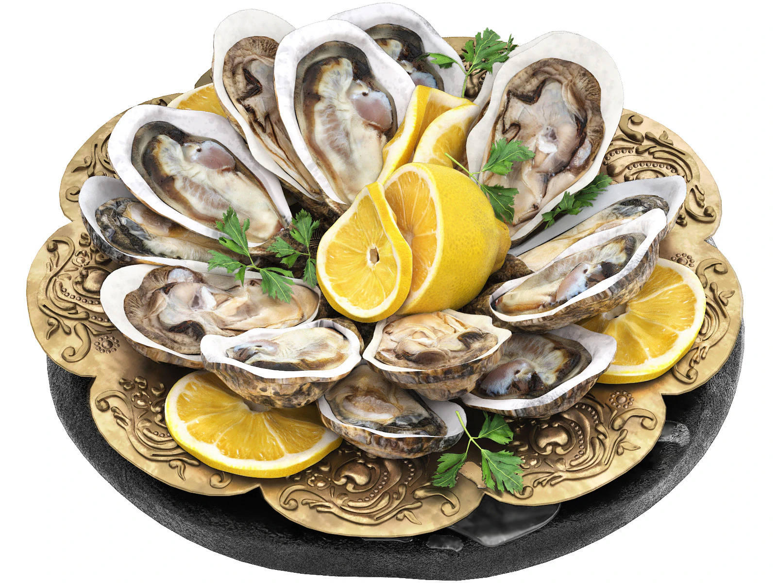 Plate of seafood oysters 3D Model .c4d .max .obj .3ds .fbx .stl .blend