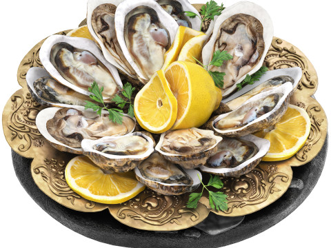 Plate of seafood oysters 3D Model
