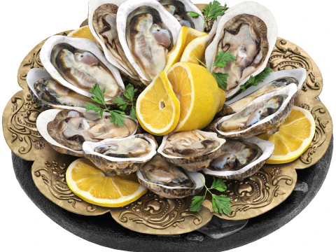 Plate of seafood oysters 3D Model