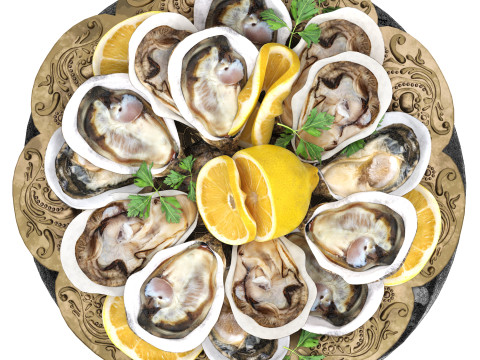 Plate of seafood oysters 3D Model