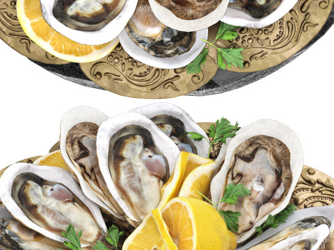 Plate of seafood oysters 3D Model