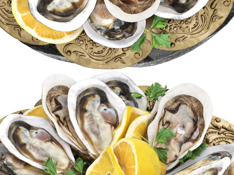 Plate of seafood oysters 3D Model