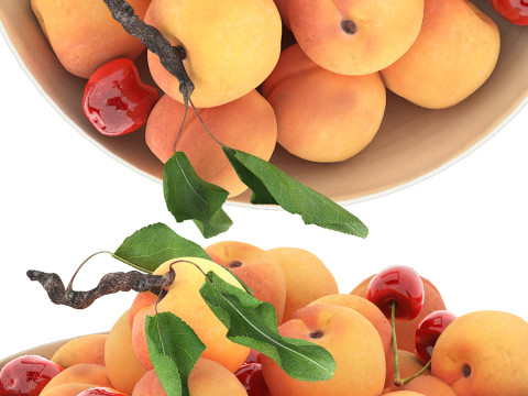 Bowl of apricots and cherries 3D 모델