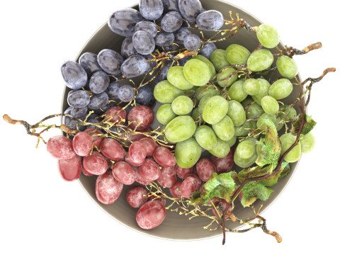Bowl of grapes 3D 모델