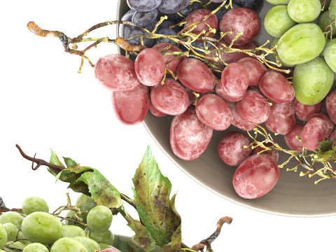 Bowl of grapes 3D Model