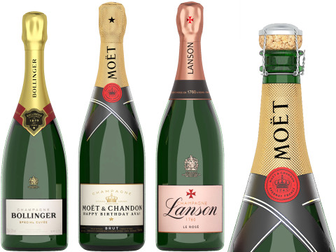 Collection of bottles wine champagne 3D Model