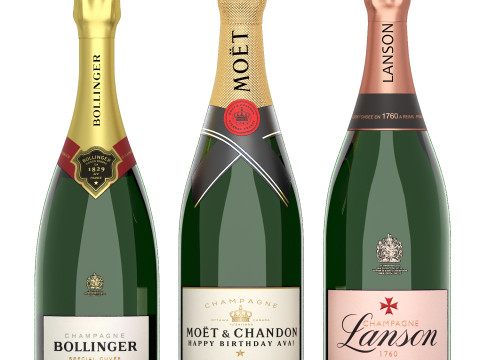 Collection of bottles wine champagne 3D Model