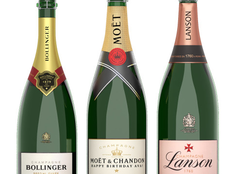 Collection of bottles wine champagne 3D Model