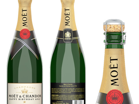 Collection of bottles wine champagne 3D Model