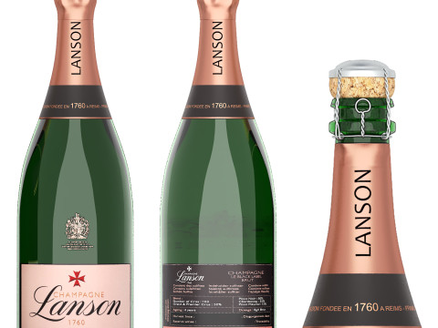 Collection of bottles wine champagne 3D Model