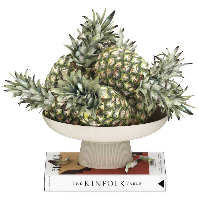 Ciotola di ananas Modello 3D .c4d .max .obj .3ds .fbx .stl .blend 