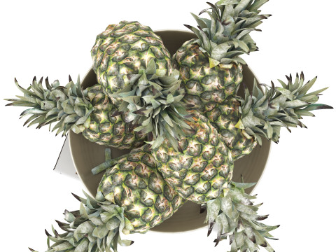 Bowl of pineapples 3D 模型
