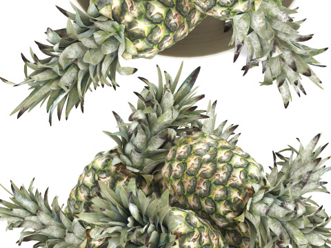 Bowl of pineapples 3D 模型