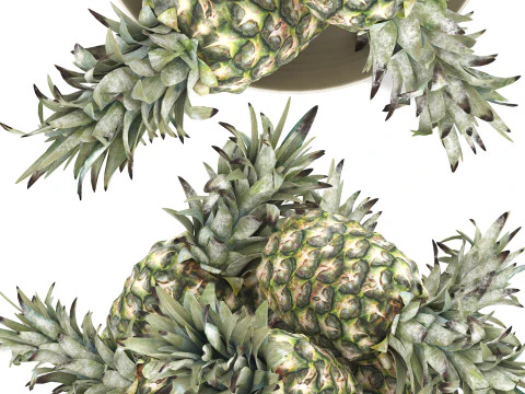 Ciotola di ananas Modello 3D