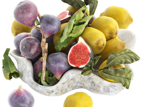 Bowl of figs and lemons 3D 模型