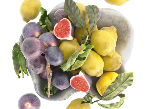 Bowl of figs and lemons 3D 模型