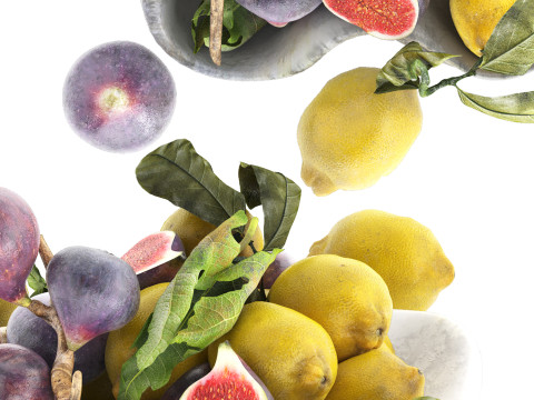 Bowl of figs and lemons 3D 模型