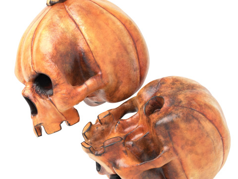 Pumpkin skull head halloween Modello 3D