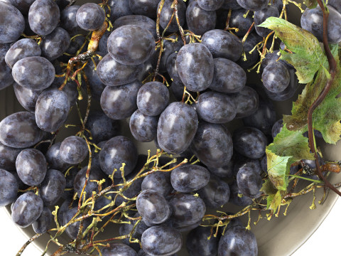 Bowl of black grapes fruit 3D 模型