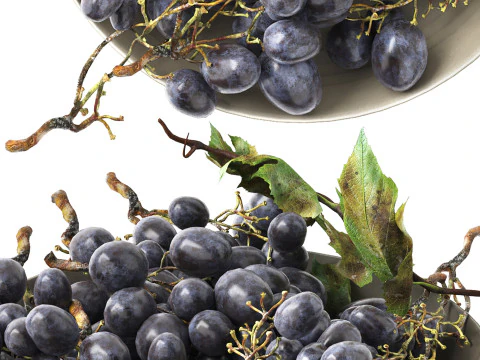Bowl of black grapes fruit 3D Model