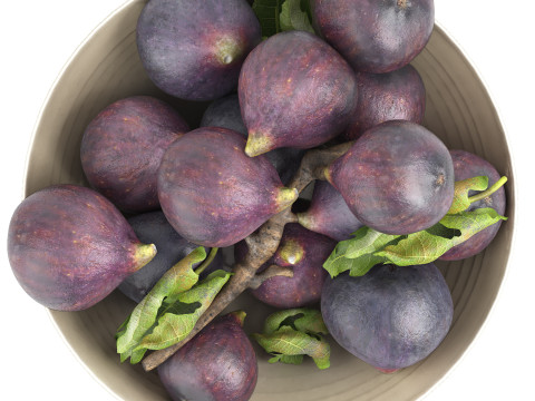 Bowl of black figs fruit 3D 模型