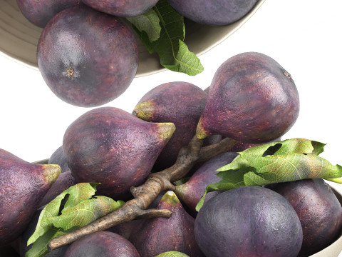 Bowl of black figs fruit 3D 模型