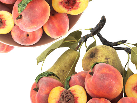 Bowl of peaches and pears 3D 模型