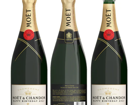 Moet and chandon champagne collection 3D Model