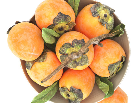 Bowl of persimmon fruit 3D Model