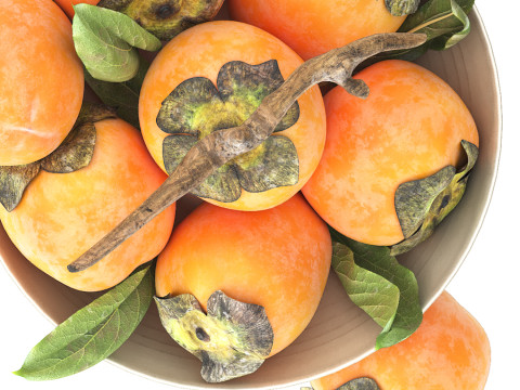 Bowl of persimmon fruit 3D Model