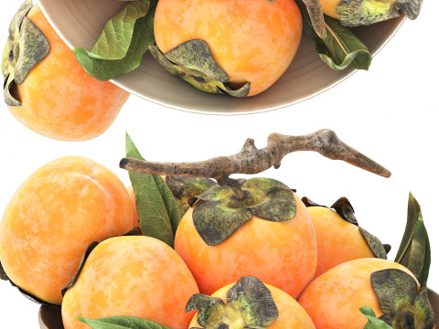 Bowl of persimmon fruit 3D Model