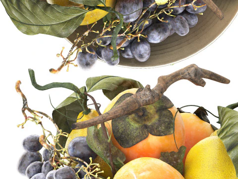 Bowl of tropical persimmon grapes and lemons fruits 3D Model