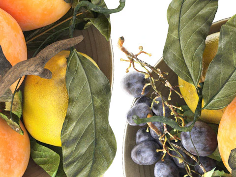 Bowl of tropical persimmon grapes and lemons fruits 3D Model