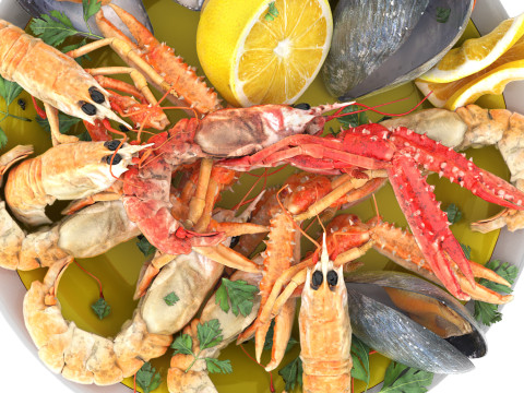 Seafood platter of langoustine and mussels 3D Model