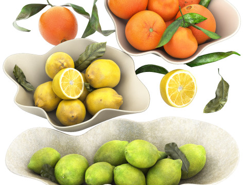 Bowls of lemons and oranges fruits Model 3D