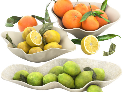 Bowls of lemons and oranges fruits Model 3D