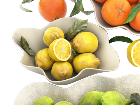 Bowls of lemons and oranges fruits Model 3D
