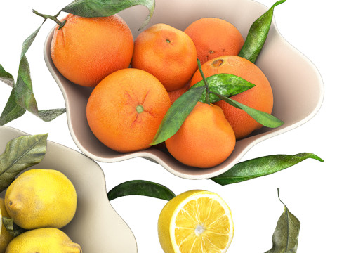 Bowls of lemons and oranges fruits Model 3D