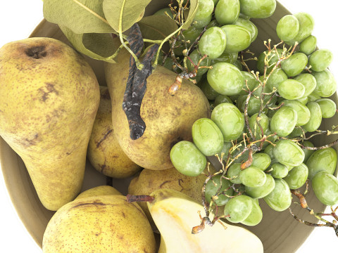 Bowl of pears and grapes fruits 3D Model