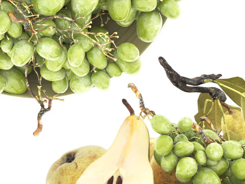 Bowl of pears and grapes fruits 3D Model