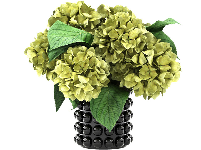 Ceramic vase of hydrangea Model 3D .c4d .max .obj .3ds .fbx .stl .blend