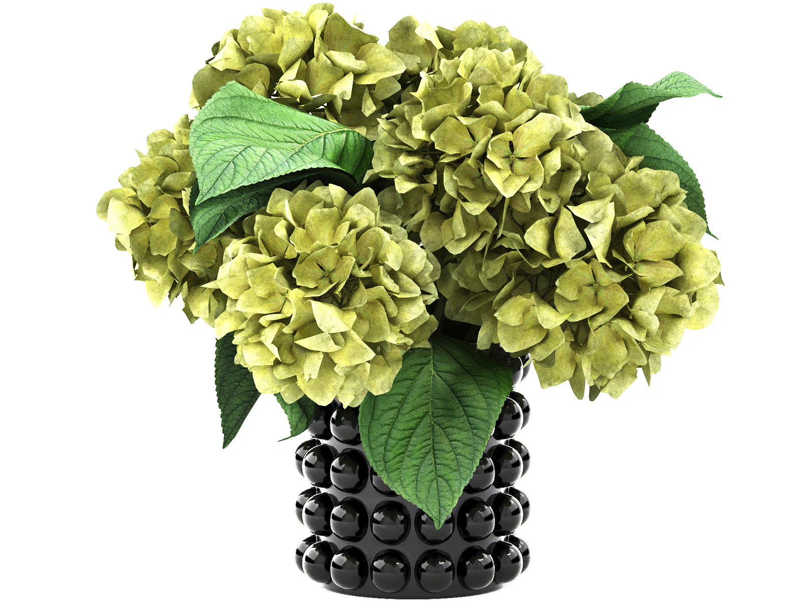 Ceramic vase of hydrangea 3D Model .c4d .max .obj .3ds .fbx .stl .blend