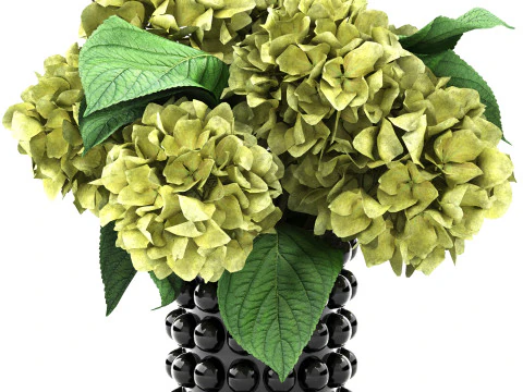Ceramic vase of hydrangea 3D Model