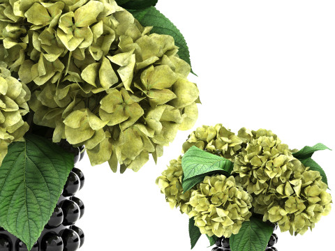 Ceramic vase of hydrangea Model 3D