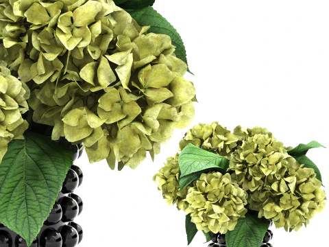 Ceramic vase of hydrangea 3D Model