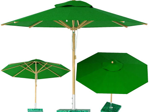 Guarda-chuva de bambu verde levante da bambrella Modelo 3D